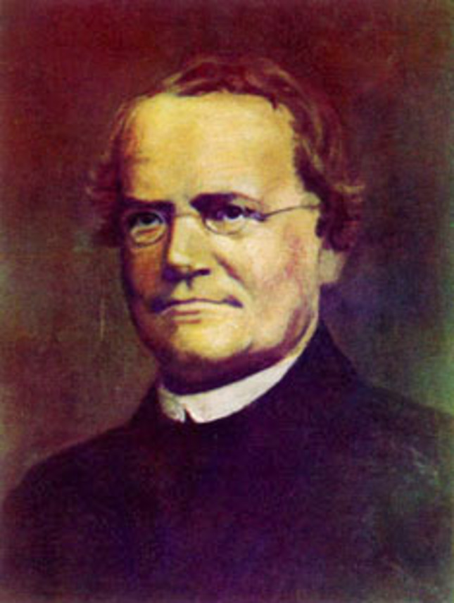 Грегор мендель. Грегор Иоганн Мендель (1822-1884). Gregor Johann Mendel. Грегор Мендель генетика.