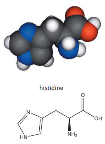 Histamineintolerantie wat het is de symptomen en behandeling