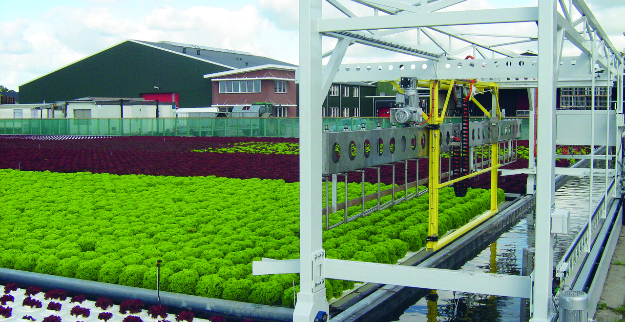 Landbouw zonder bodem NEMO Kennislink Landbouw zonder bodem NEMO Kennislink